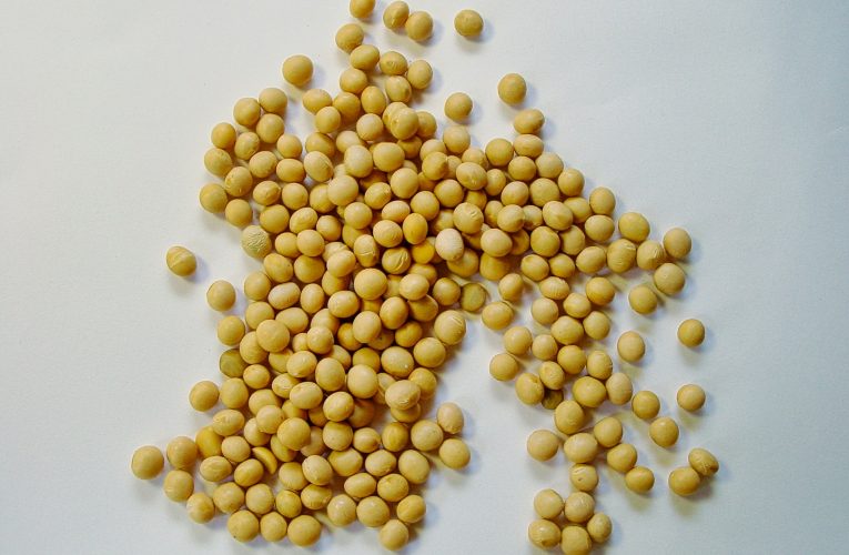 Productores argentinos aceleran la cosecha de soja para ganarle al mal tiempo
