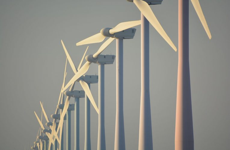 Vestas asegura un nuevo pedido de energía eólica por 102 MW en Argentina
