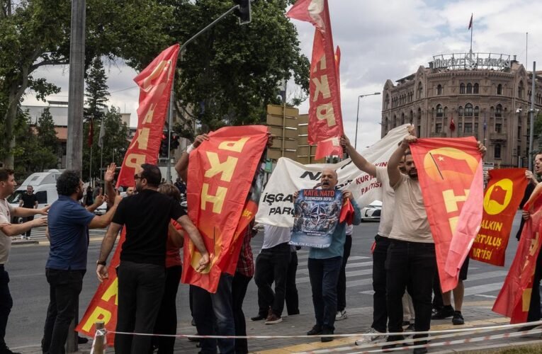 NATO summit in Ankara: Turkish police arrest civil rights activists again before the NATO summit