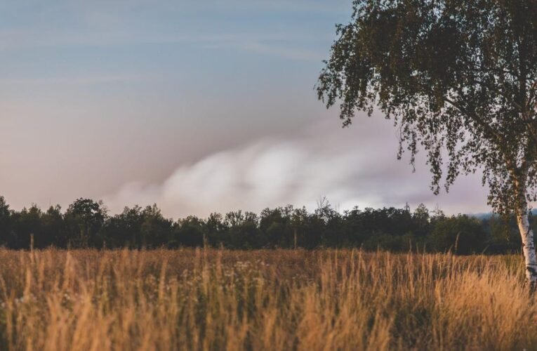 Fires: Fire continues to smolder in Meuselwitz – helicopter is coming