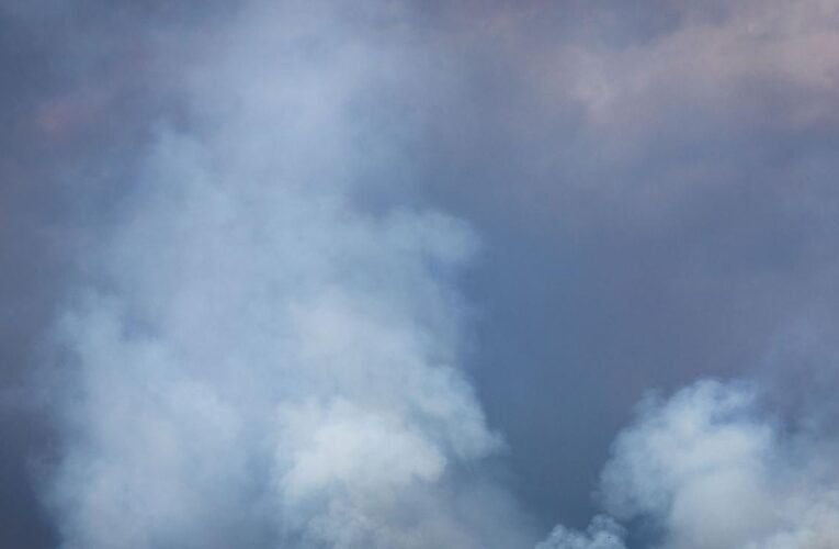 Large-scale operation: fire surrounded in Müritz National Park
