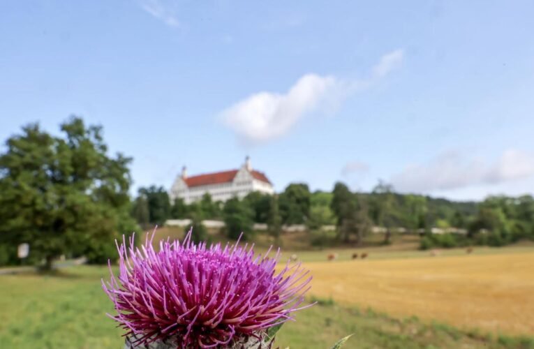 Weather: The start of the week will be so summery