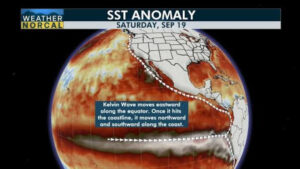 Kelvin-wave-in-the-Pacific-Ocean-heads-towards-California.jpeg