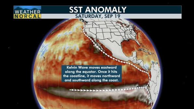 Kelvin-wave-in-the-Pacific-Ocean-heads-towards-California.jpeg