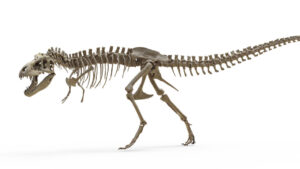 The-T-rexs-teeth-suggest-it-ran-as-warm-as.jpg