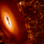 What-happens-when-neutrinos-swap-identities-within-a-supernova.png