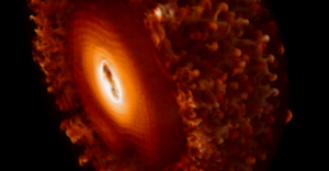 What-happens-when-neutrinos-swap-identities-within-a-supernova.png