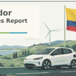 A-new-star-is-born-as-electric-vehicles-reached-19.png