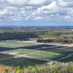 Ford-backs-large-new-solar-farm-for-its-Michigan-factories.jpg