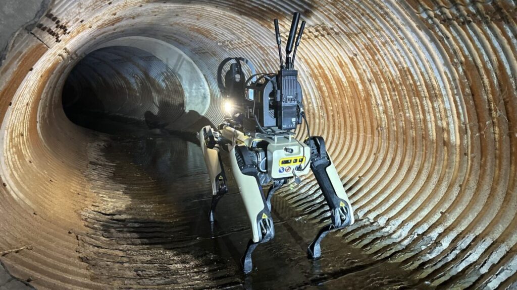 ICEs-plan-to-buy-robot-dogs-sparks-protests-from-hundreds.jpg