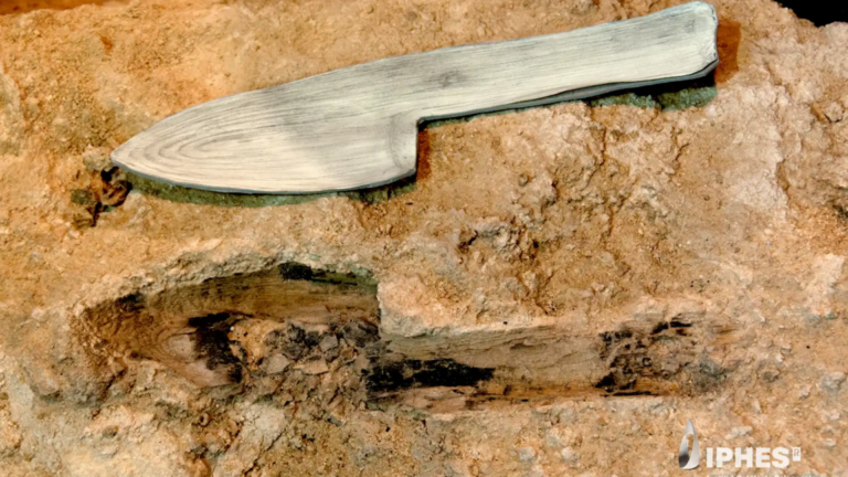 Neanderthal-wooden-tools-from-Spain-found-preserved-in-stone.png