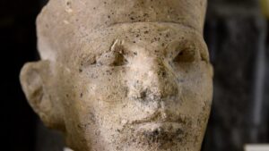 New-Forensic-Evidence-Supports-Egyptian-Entertainment-Victim.jpg