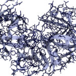 Researchers-use-AI-to-design-proteins-that-cut-up-other.jpg