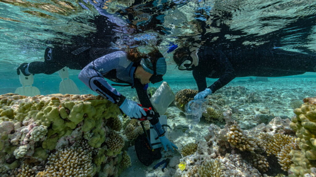 Seabirds-forests-and-corals-could-help-save-sinking-islands.jpg