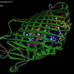 Vibe-genes-Natural-similar-language-is-used-in-protein-and.jpg