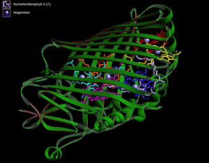 Vibe-genes-Natural-similar-language-is-used-in-protein-and.jpg