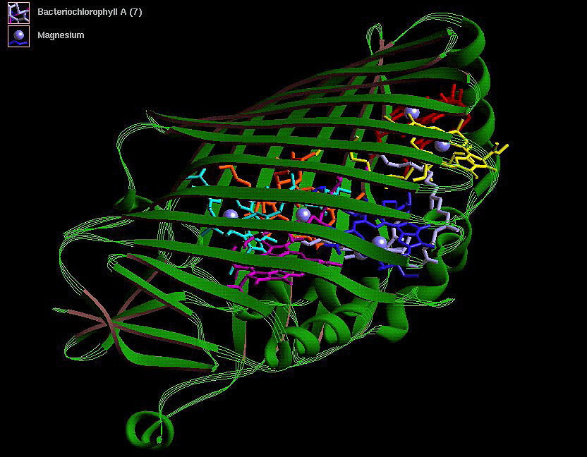 Vibe-genes-Natural-similar-language-is-used-in-protein-and.jpg